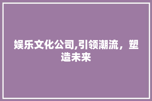 娱乐文化公司,引领潮流，塑造未来