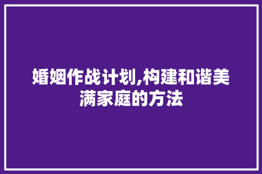 婚姻作战计划,构建和谐美满家庭的方法