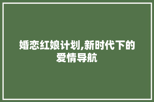 婚恋红娘计划,新时代下的爱情导航