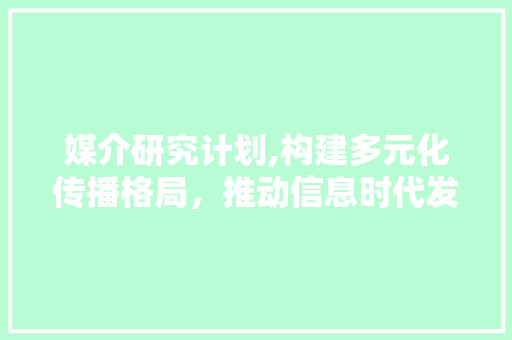 媒介研究计划,构建多元化传播格局，推动信息时代发展