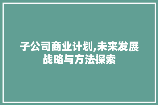 子公司商业计划,未来发展战略与方法探索