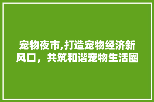 宠物夜市,打造宠物经济新风口，共筑和谐宠物生活圈