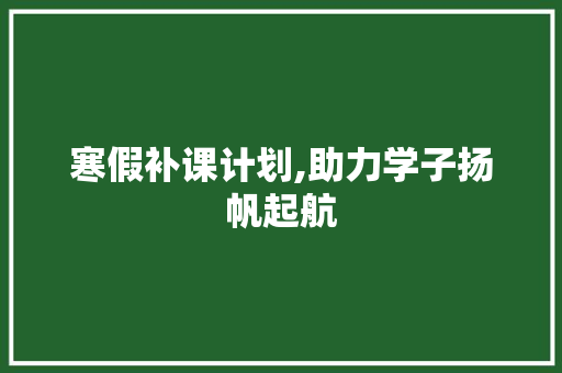 寒假补课计划,助力学子扬帆起航