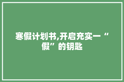 寒假计划书,开启充实一“假”的钥匙