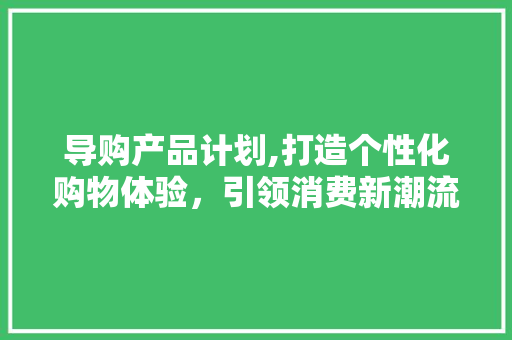 导购产品计划,打造个性化购物体验，引领消费新潮流