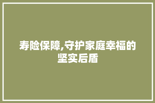 寿险保障,守护家庭幸福的坚实后盾