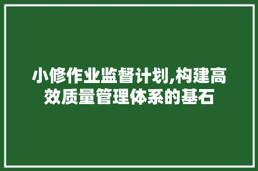 小修作业监督计划,构建高效质量管理体系的基石