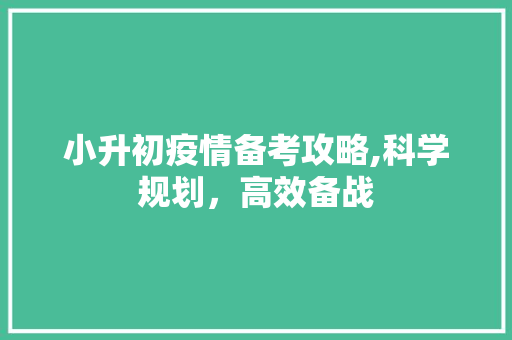 小升初疫情备考攻略,科学规划，高效备战