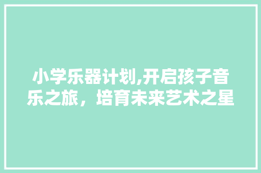 小学乐器计划,开启孩子音乐之旅，培育未来艺术之星