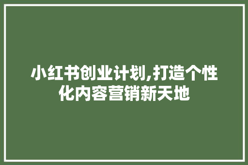 小红书创业计划,打造个性化内容营销新天地