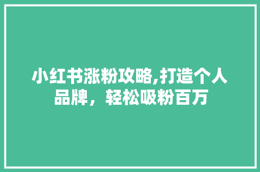 小红书涨粉攻略,打造个人品牌，轻松吸粉百万