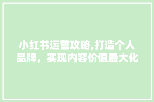 小红书运营攻略,打造个人品牌，实现内容价值最大化