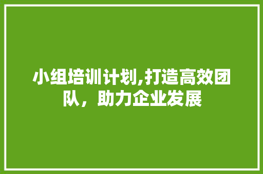 小组培训计划,打造高效团队，助力企业发展