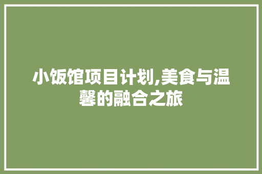 小饭馆项目计划,美食与温馨的融合之旅