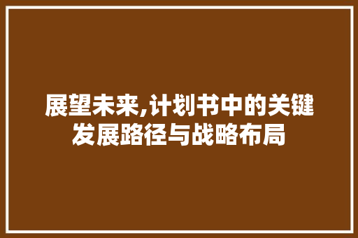 展望未来,计划书中的关键发展路径与战略布局