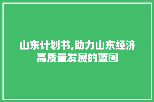 山东计划书,助力山东经济高质量发展的蓝图