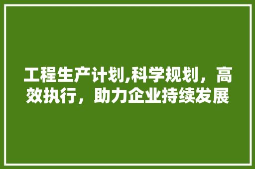 工程生产计划,科学规划，高效执行，助力企业持续发展