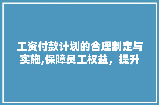 工资付款计划的合理制定与实施,保障员工权益，提升企业竞争力