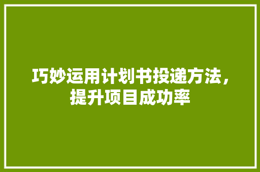 巧妙运用计划书投递方法，提升项目成功率