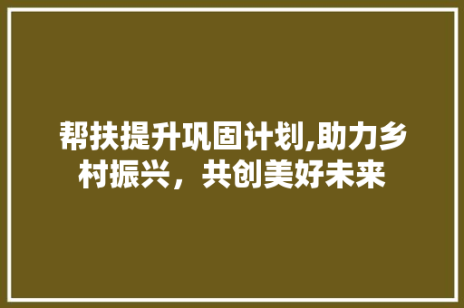 帮扶提升巩固计划,助力乡村振兴，共创美好未来