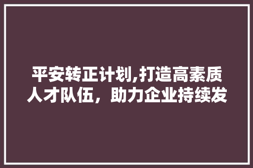 平安转正计划,打造高素质人才队伍，助力企业持续发展 申请书范文