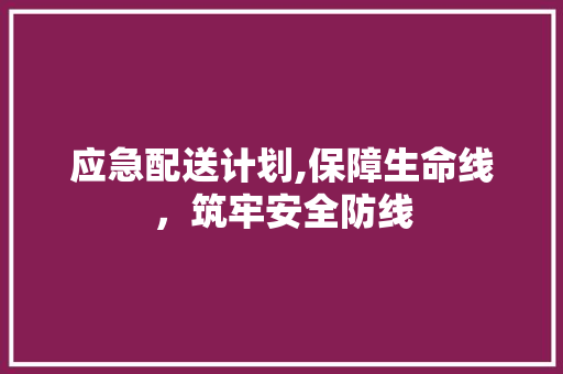 应急配送计划,保障生命线，筑牢安全防线