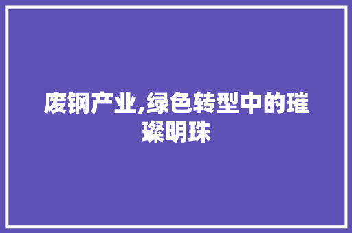 废钢产业,绿色转型中的璀璨明珠