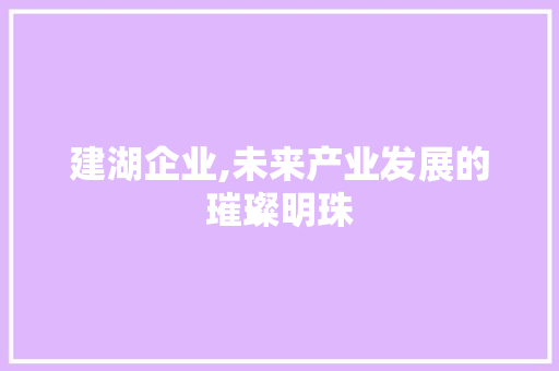 建湖企业,未来产业发展的璀璨明珠