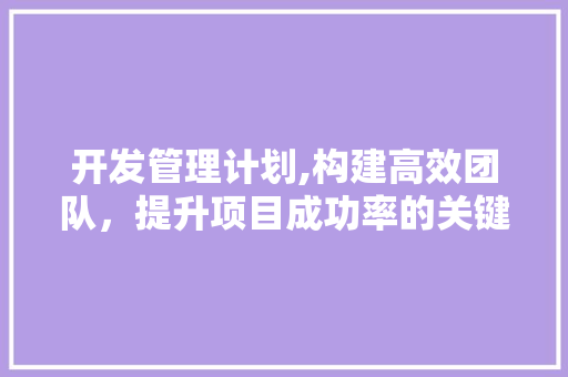 开发管理计划,构建高效团队，提升项目成功率的关键