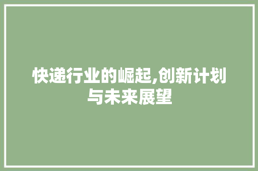 快递行业的崛起,创新计划与未来展望