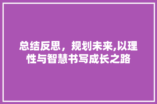 总结反思，规划未来,以理性与智慧书写成长之路