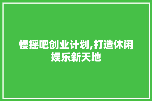 慢摇吧创业计划,打造休闲娱乐新天地