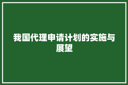 我国代理申请计划的实施与展望