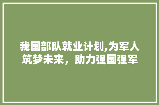 我国部队就业计划,为军人筑梦未来，助力强国强军