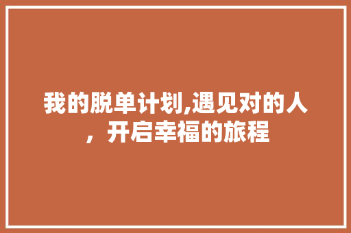 我的脱单计划,遇见对的人，开启幸福的旅程