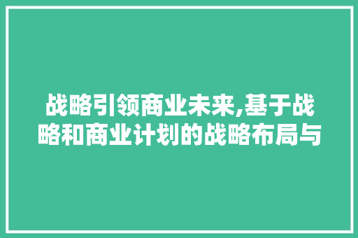 战略引领商业未来,基于战略和商业计划的战略布局与方法