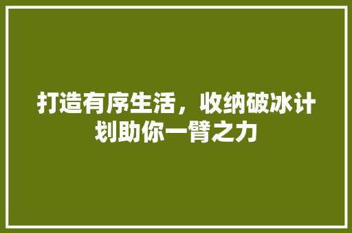 打造有序生活，收纳破冰计划助你一臂之力