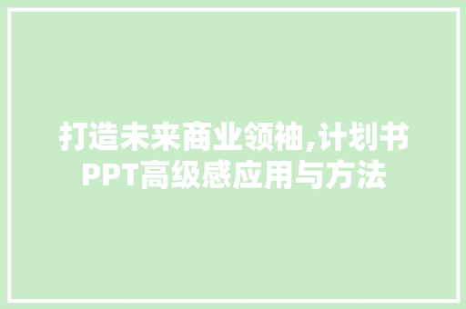 打造未来商业领袖,计划书PPT高级感应用与方法