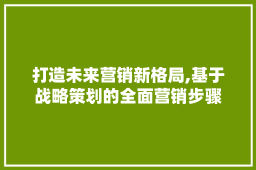 打造未来营销新格局,基于战略策划的全面营销步骤