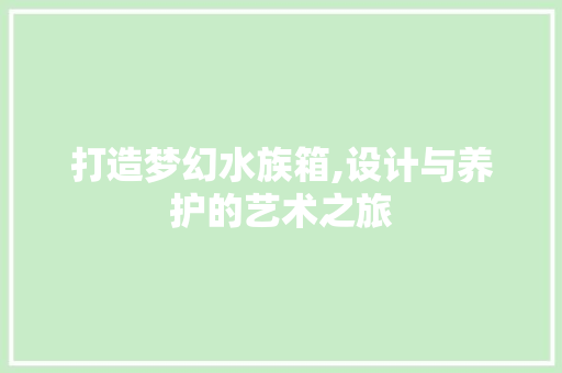 打造梦幻水族箱,设计与养护的艺术之旅