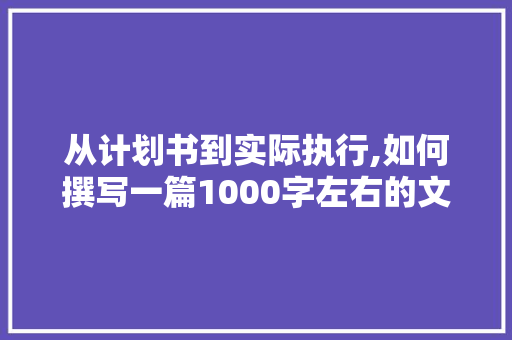 从计划书到实际执行,如何撰写一篇1000字左右的文章