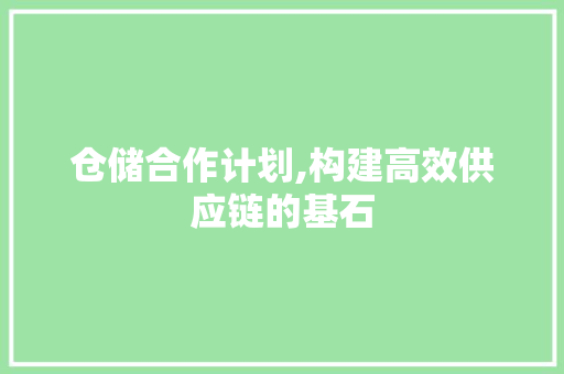 仓储合作计划,构建高效供应链的基石