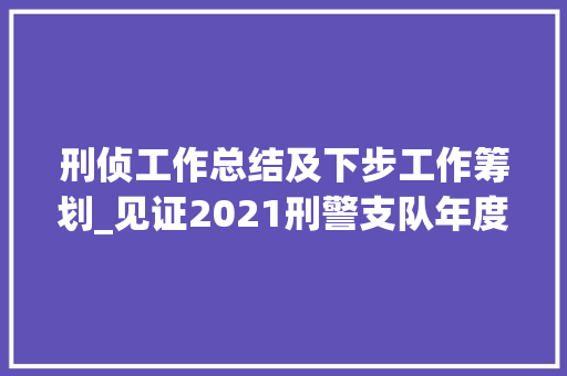 刑侦工作总结及下步工作筹划_见证2021刑警支队年度工作总结 工作总结范文