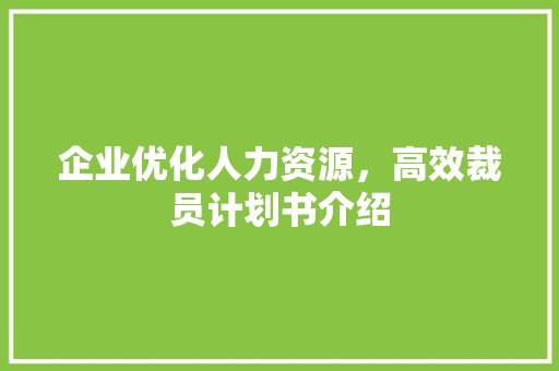 企业优化人力资源，高效裁员计划书介绍