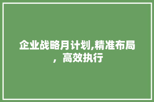 企业战略月计划,精准布局，高效执行