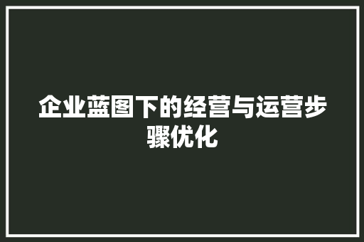 企业蓝图下的经营与运营步骤优化