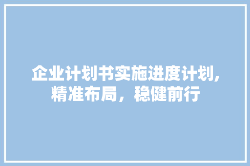 企业计划书实施进度计划,精准布局，稳健前行