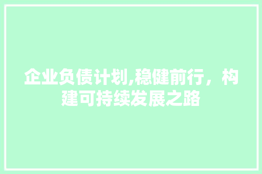 企业负债计划,稳健前行，构建可持续发展之路