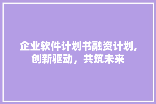 企业软件计划书融资计划,创新驱动，共筑未来