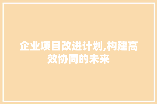 企业项目改进计划,构建高效协同的未来